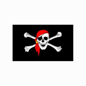Amazon Exclusive 90 150cm-Jolly Roger Double Bone Skull Flag Outside The Flag – A