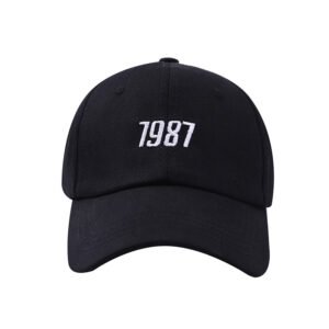 Baseball Cap Embroidery Cap – P