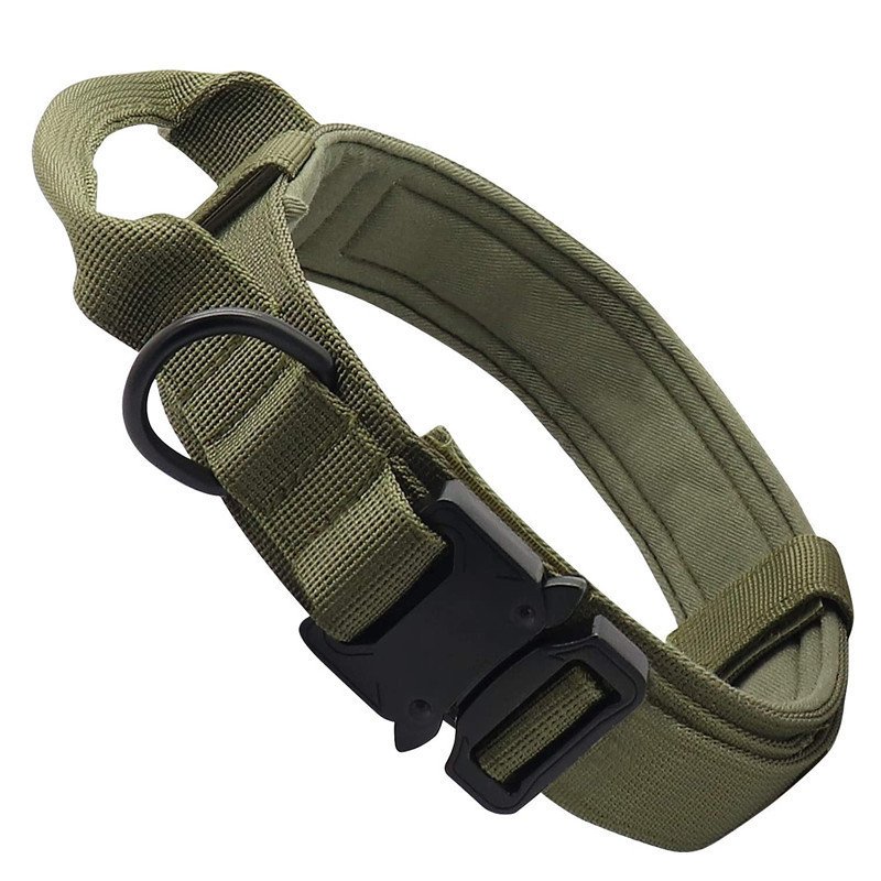 Fashion Personalized Tactical Dog Collar - Image 7