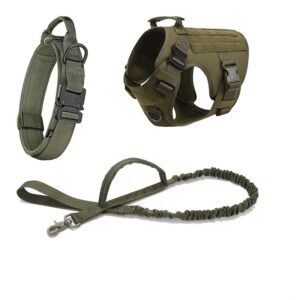 Outdoor Tactics Pet Dog Strap Collar Hand Holding Rope Three-piece Set – Army Green, S