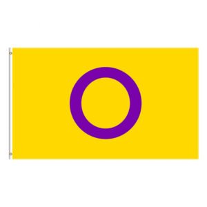 Rainbow Flag Gay Pride Flag – CHQ13