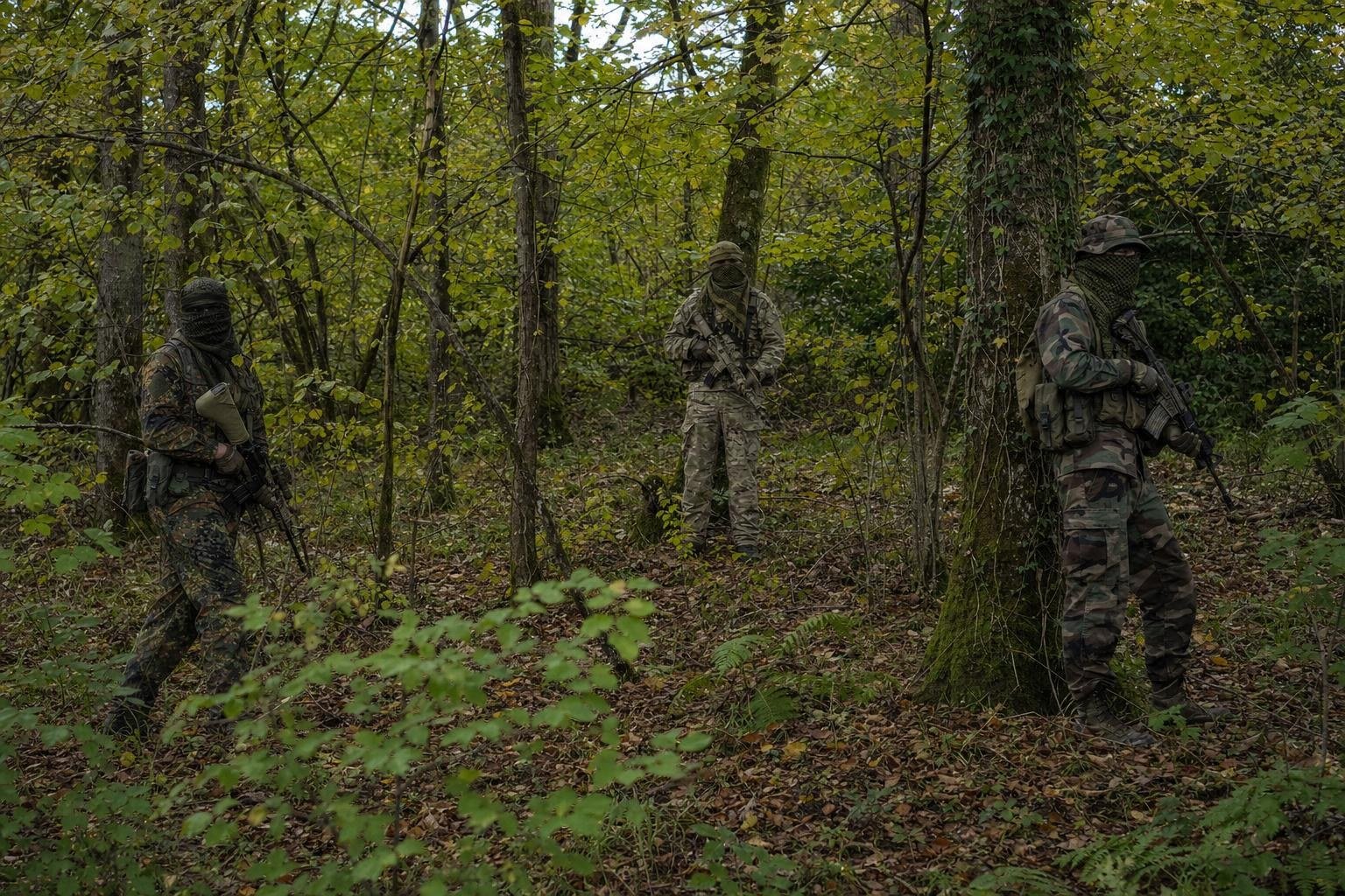 Three people in different camo patterns standing among trees in British woodland