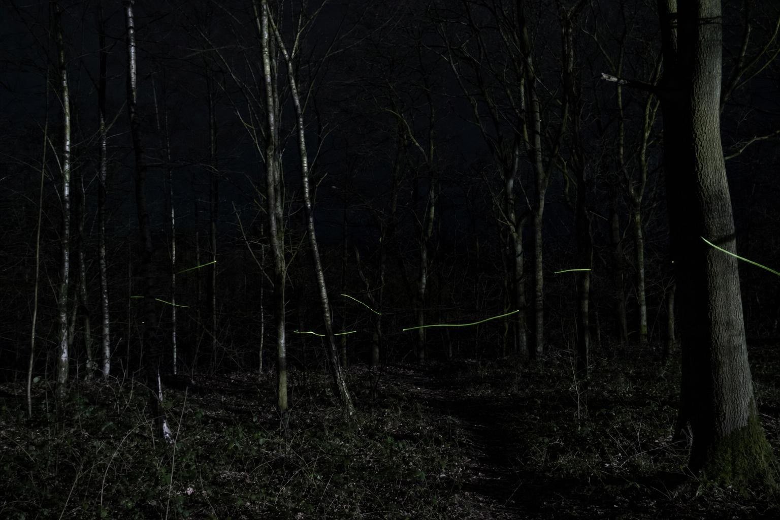 Glowing green tracer BB trails in a dark woodland at night